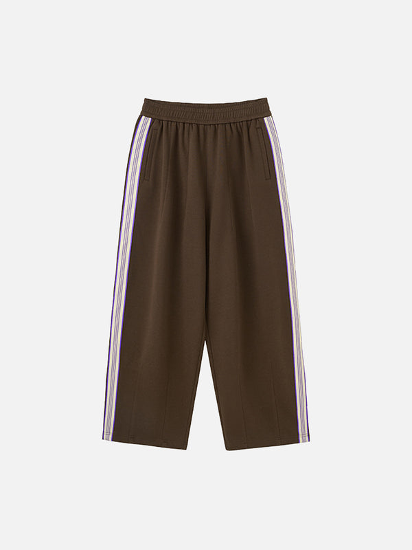 Stelluris Stripe Baggy Pants