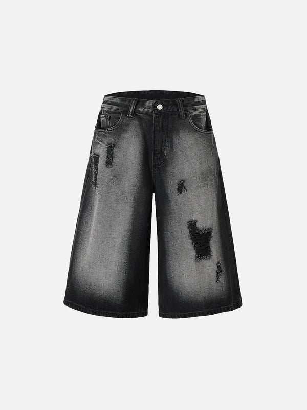 Stelluris Distressed Jorts